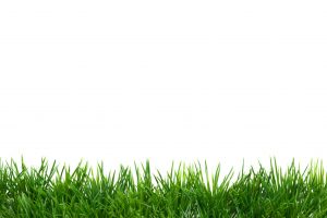 istock_87472523_xxxlarge_aangepast